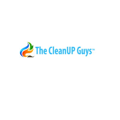 the cleanup guys logo.png