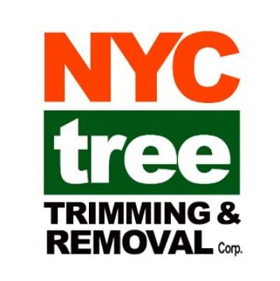 NYC tree cutting.jpg