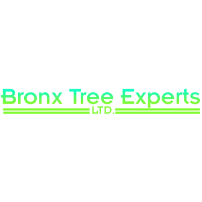 Bronx Tree Pro - Tree Removal, Cutting & Trimming Service Logo-1.png