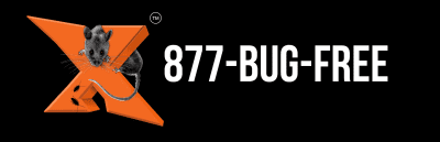 877 bug free-logo.png