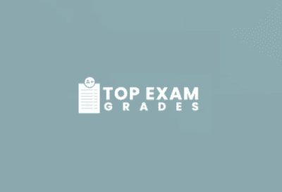 Logo - Top Exam Grades.png