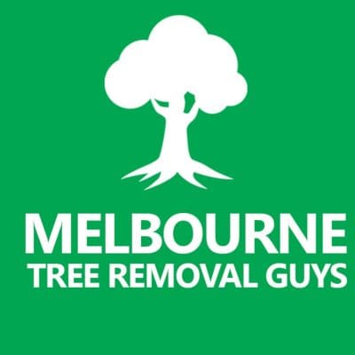 Melbourne Tree Removal Guys.jpg
