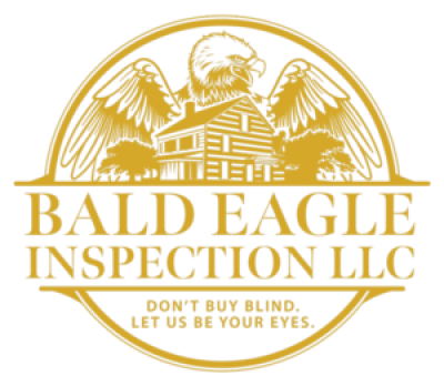 bald eagle inspection logo.png