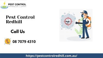 Redhill Pest Control.jpg