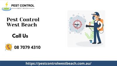 West Beach Pest Control.jpg