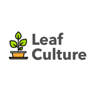 Leaf Culture Logo HD.png