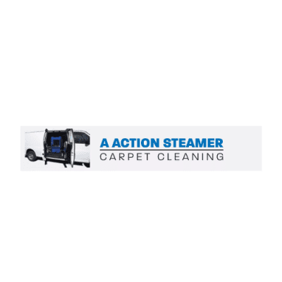 A Action Steamer Carpet Cleaning.png