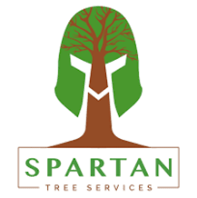 Spartan Tree Servicelogo.png