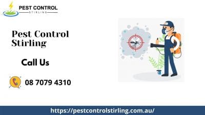 Pest Control Stirling.jpg