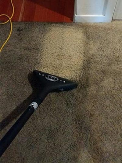 Dirty-Carpet-Cleaned.jpg
