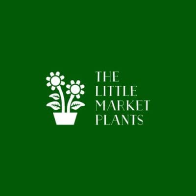 littleplants.jpg