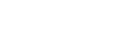 dominion-logo-white-1.png