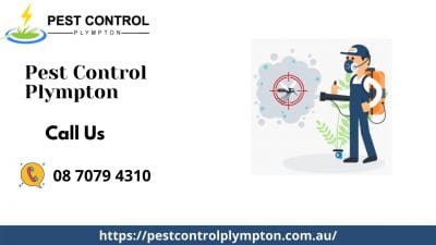 Plympton Pest Control.jpg