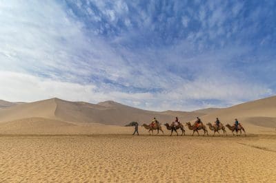 group-people-camels-desert.jpg