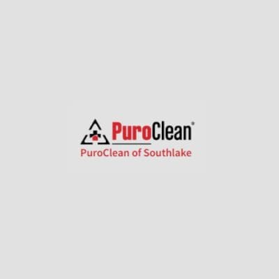 puro clean logo.jpg