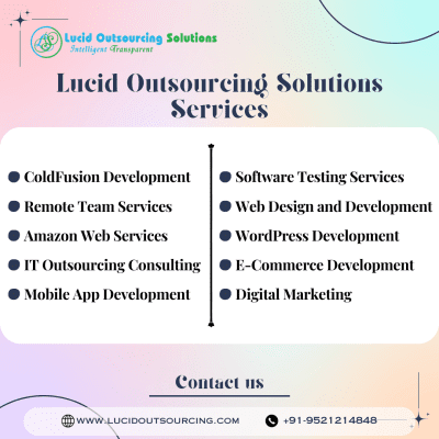 Services - Lucid Outsourcing Solutions.png