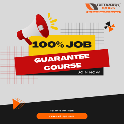 100% job guarantee course.png