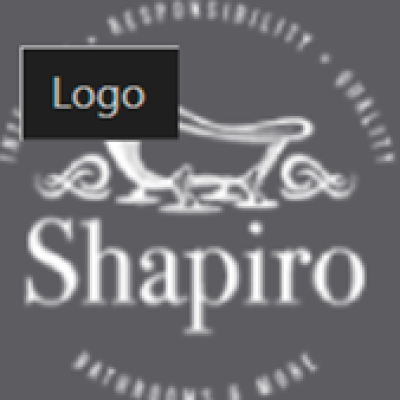 Shapiro logo.png