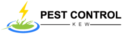 pest control kew.png