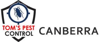 canberra-logo.png
