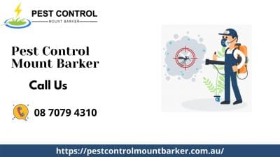 Pest Control Mount Barker.jpg