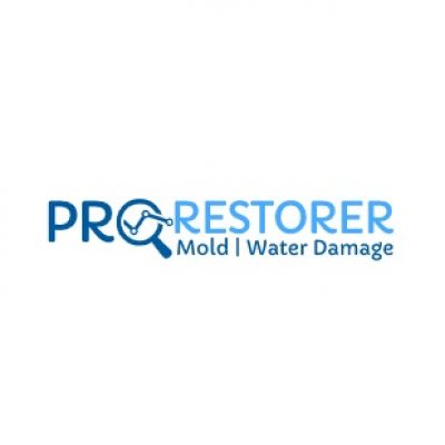 DC-Pro-Restorer-Logo-1.jpg