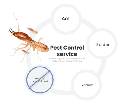 emergency-termite-pest-control.png
