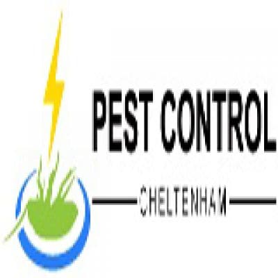 Pest Control Cheltenham