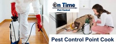 Pest control Werribee services