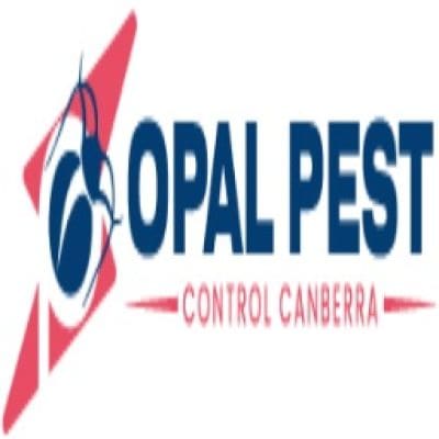 Pest Control In Canberra 256.jpg