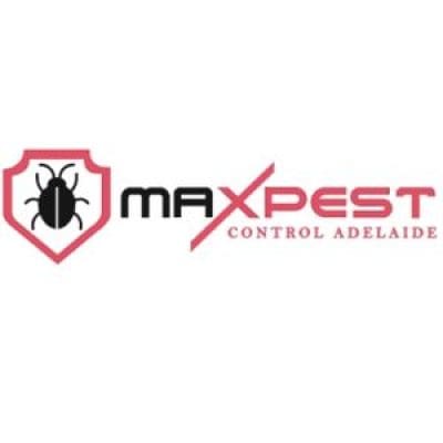 max Spider control adelaide (1).jpg